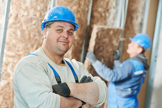 Best Insulation Maintenance and Repair in Vernon, TX